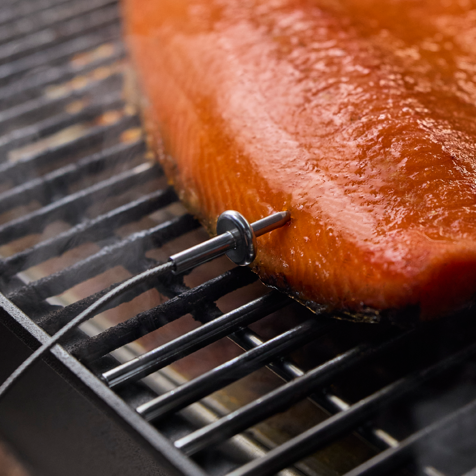 Ultra-Thin Food Probe